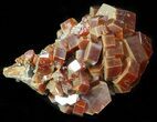 Large Red & Brown Vanadinite Crystals on Matrix - Morocco #42211-1